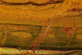 Marra Mamba Tiger's Eye Slab - Mt Brockman ( Billion Years) #178774-1